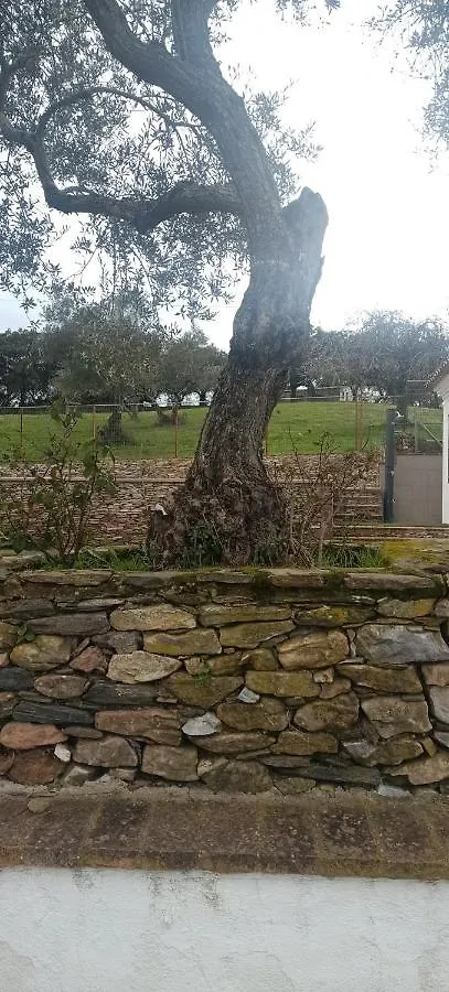 Σπίτι διακοπών Finca El Berezal Αραθένα