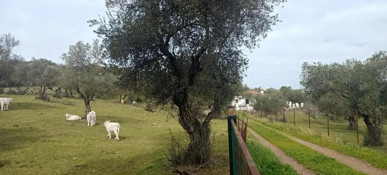 Finca El Berezal Αραθένα 0*,  Ισπανία