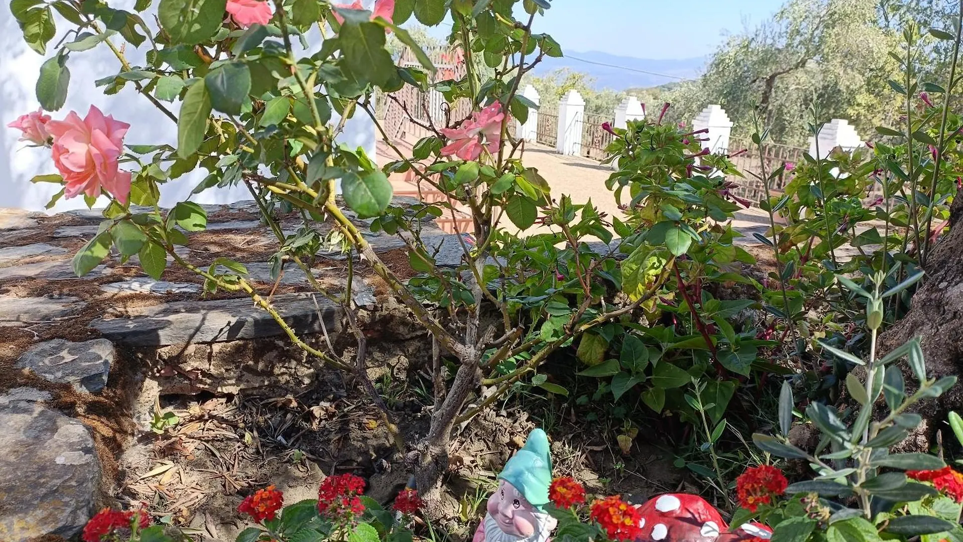 Finca El Berezal Αραθένα