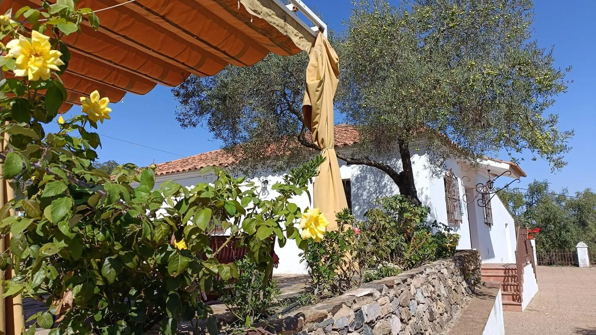 Σπίτι διακοπών Finca El Berezal Αραθένα